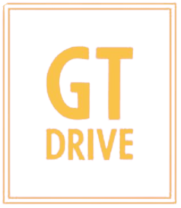 goto selfdrive logo